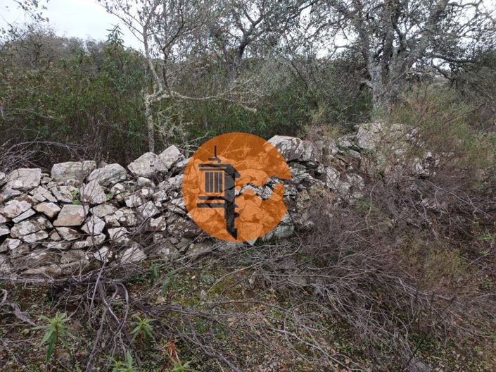 Image No.3-Plot for sale