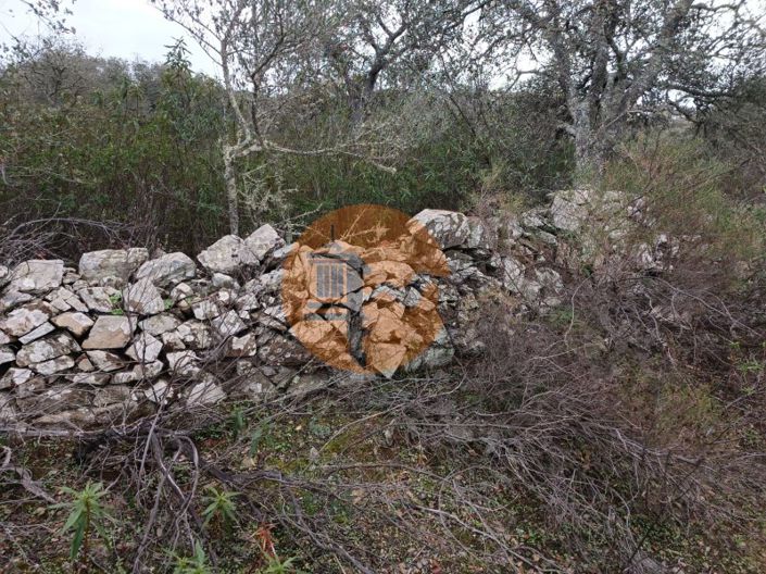 Image No.3-Plot for sale