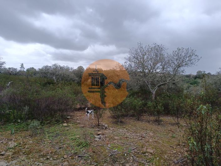 Image No.30-Plot for sale