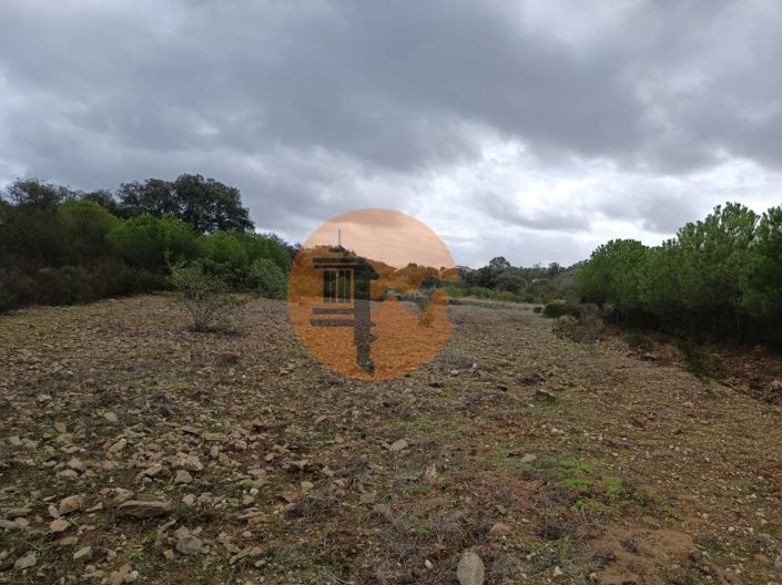 Image No.31-Plot for sale