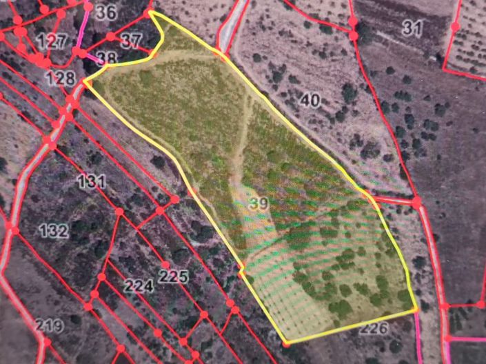 Image No.34-Plot for sale