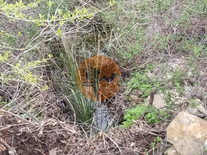 Image No.4-Plot for sale