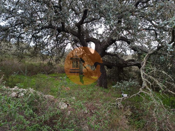 Image No.5-Plot for sale