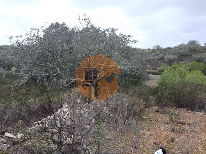 Image No.6-Plot for sale