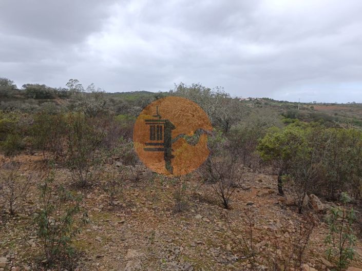 Image No.7-Plot for sale