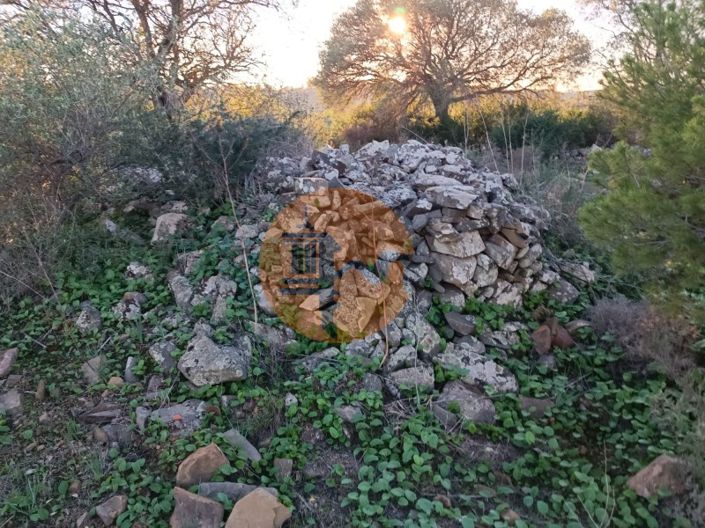 Image No.10-Plot for sale