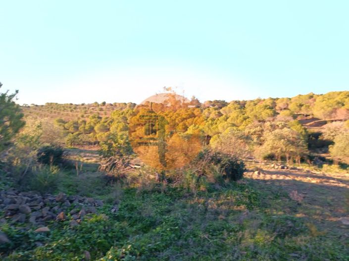 Image No.11-Plot for sale