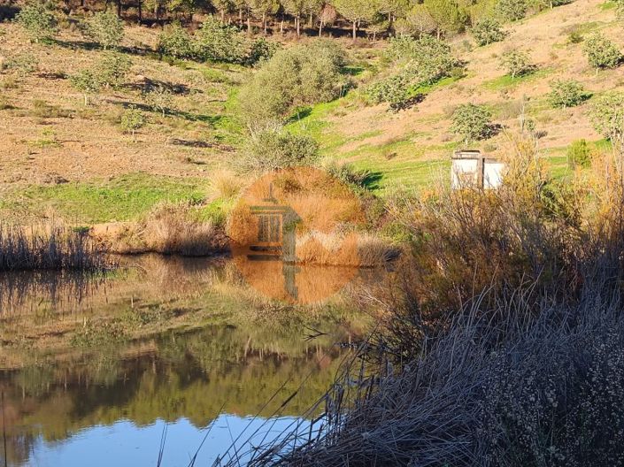 Image No.13-Plot for sale