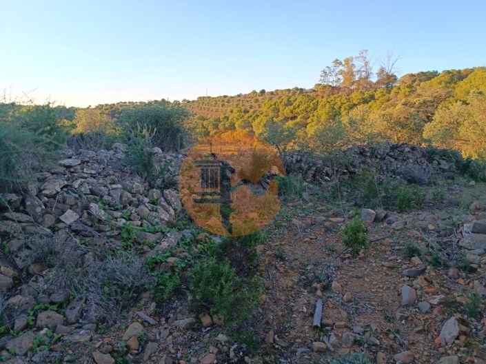 Image No.15-Plot for sale