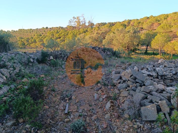 Image No.16-Terrain à vendre à Castro Marim
