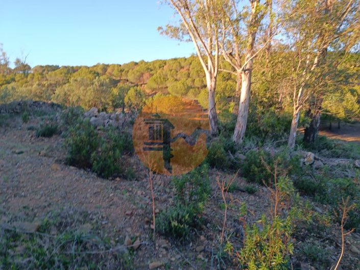 Image No.17-Plot for sale