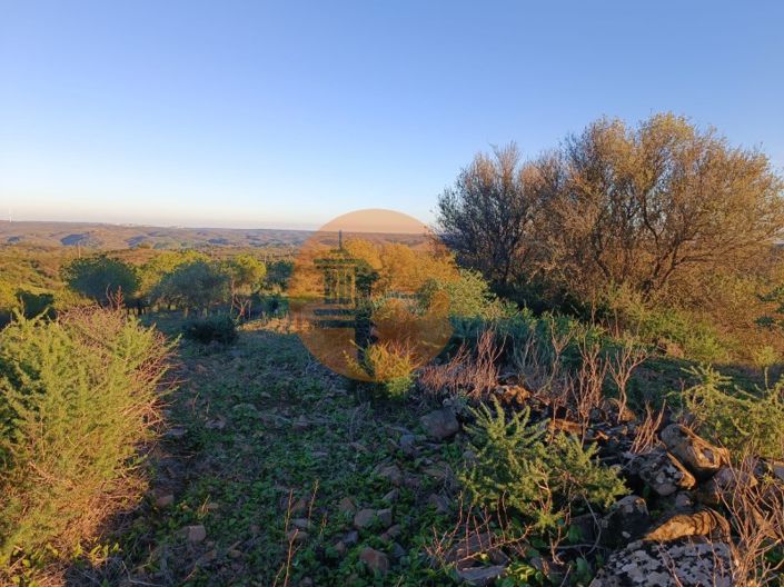 Image No.19-Plot for sale