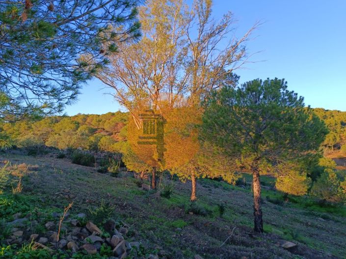 Image No.20-Plot for sale