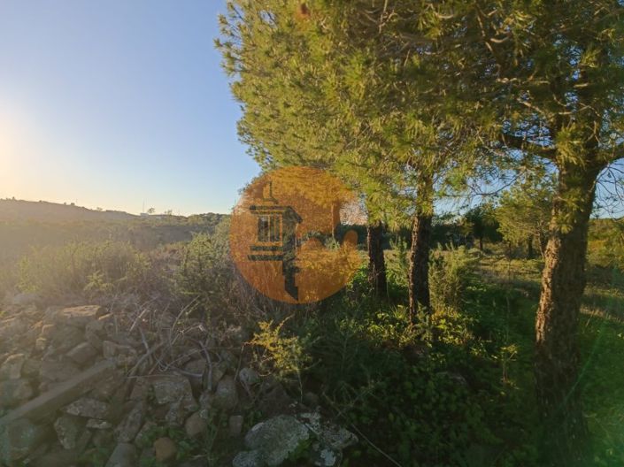 Image No.21-Plot for sale