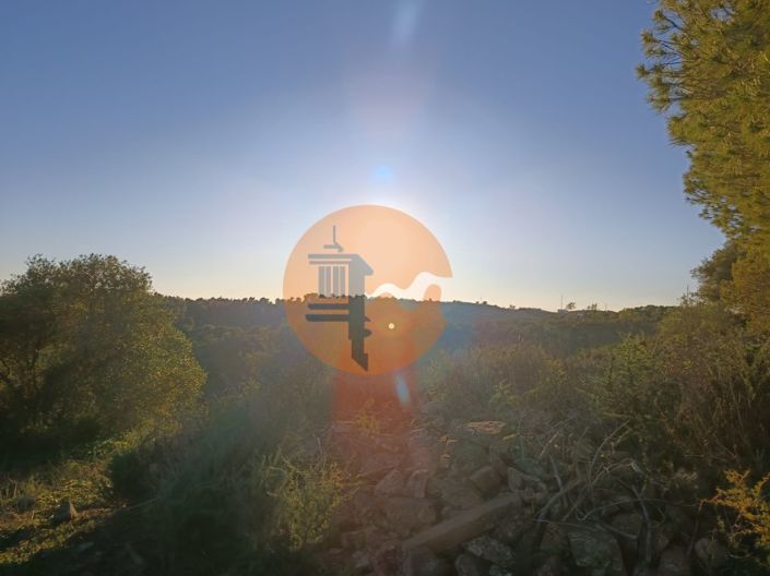 Image No.22-Plot for sale