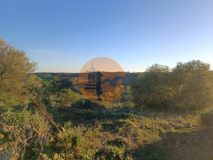 Image No.24-Plot for sale