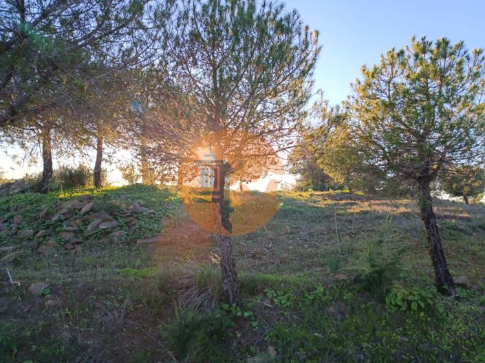 Image No.28-Plot for sale