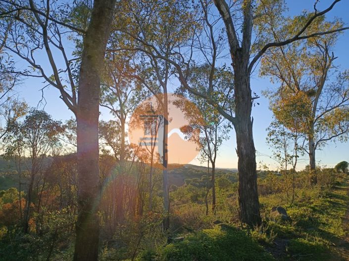 Image No.29-Plot for sale