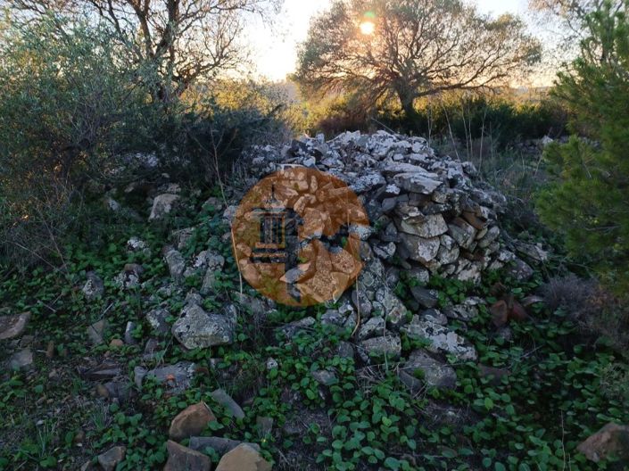 Image No.3-Plot for sale