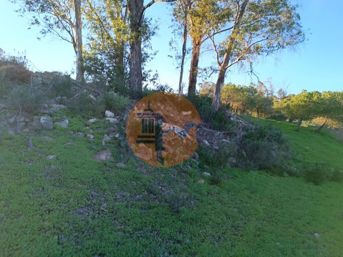 Image No.30-Plot for sale