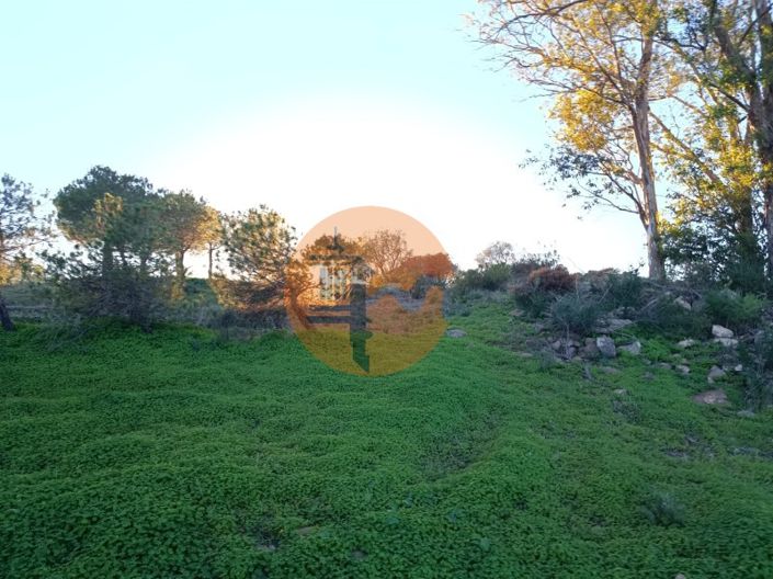 Image No.31-Plot for sale