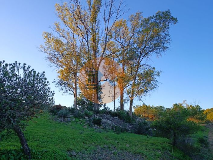 Image No.32-Plot for sale