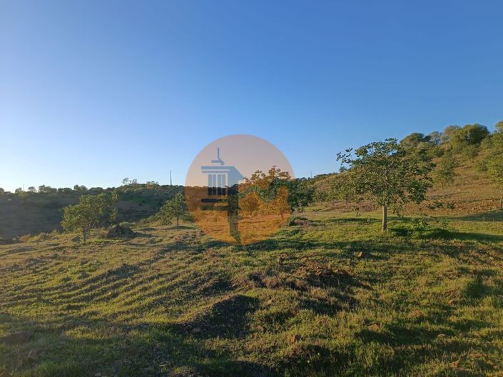 Image No.34-Plot for sale