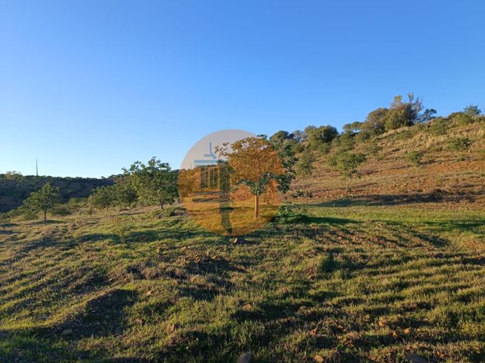 Image No.35-Plot for sale