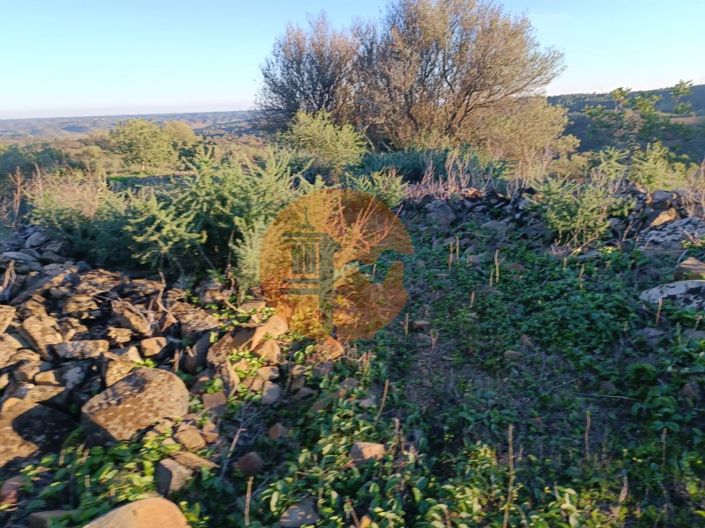 Image No.36-Plot for sale