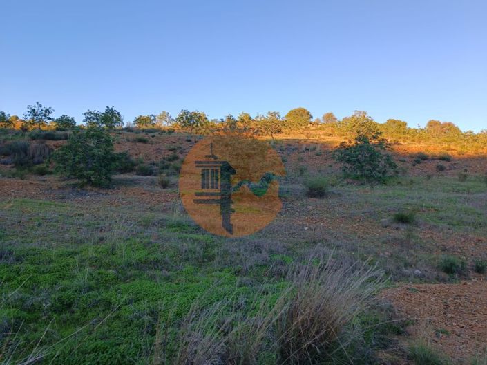 Image No.37-Plot for sale