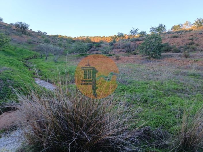 Image No.38-Plot for sale