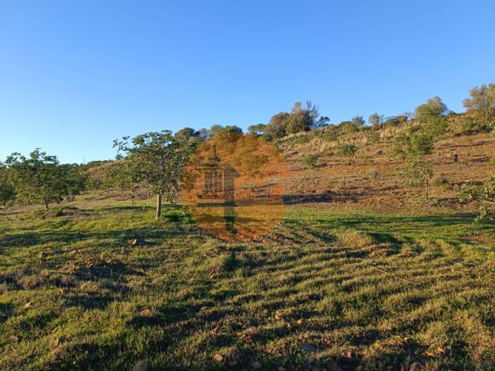 Image No.41-Plot for sale