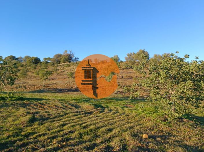 Image No.42-Plot for sale