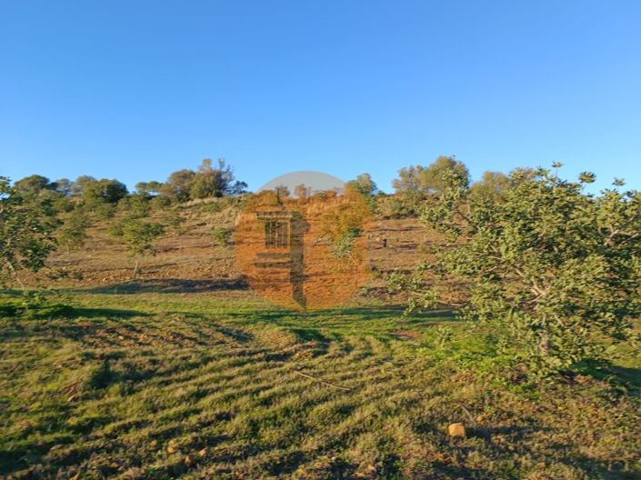 Image No.42-Plot for sale