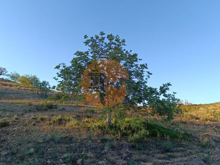 Image No.43-Plot for sale