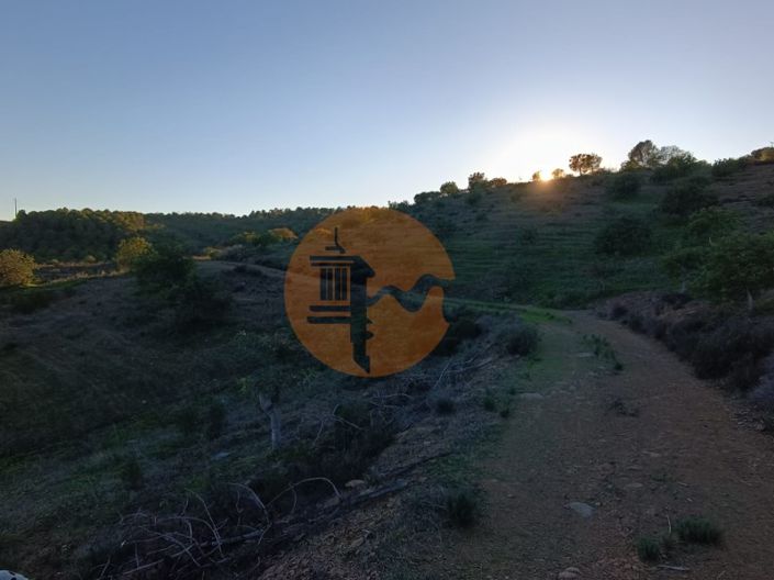 Image No.44-Plot for sale