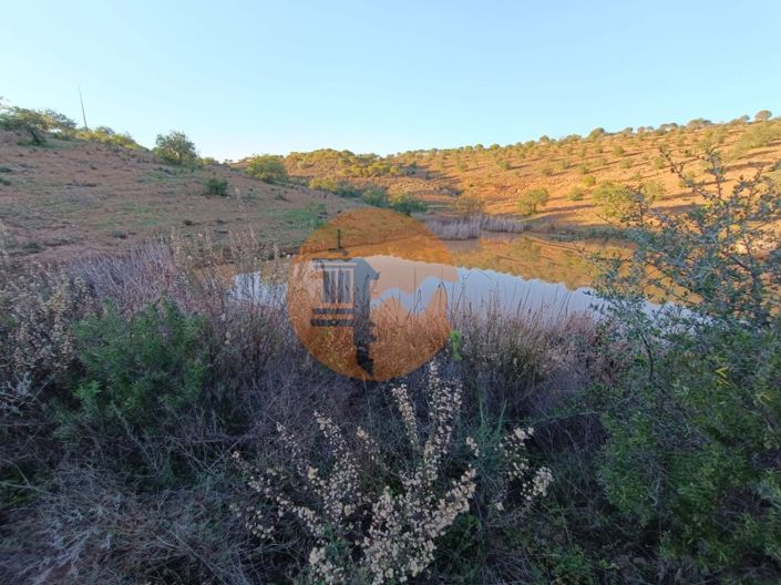 Image No.48-Plot for sale