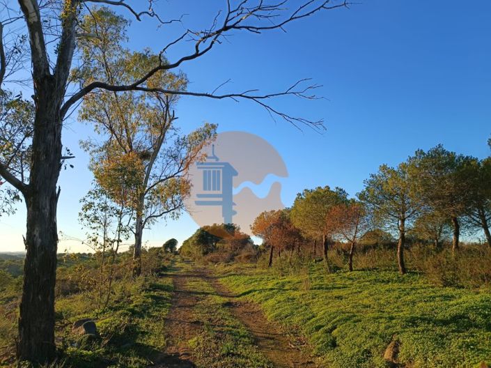 Image No.5-Terrain à vendre à Castro Marim