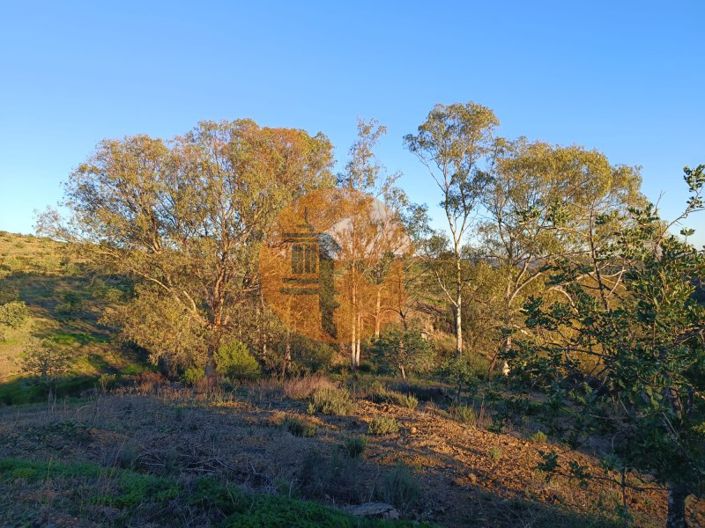 Image No.50-Plot for sale