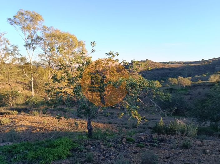 Image No.51-Plot for sale