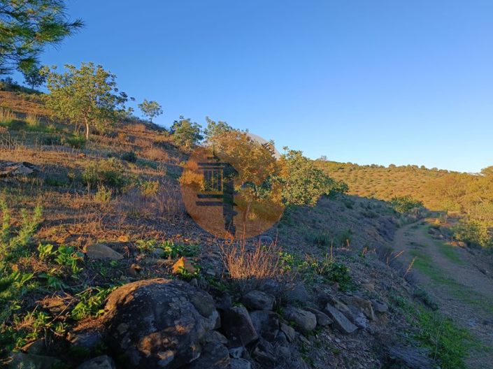 Image No.52-Plot for sale