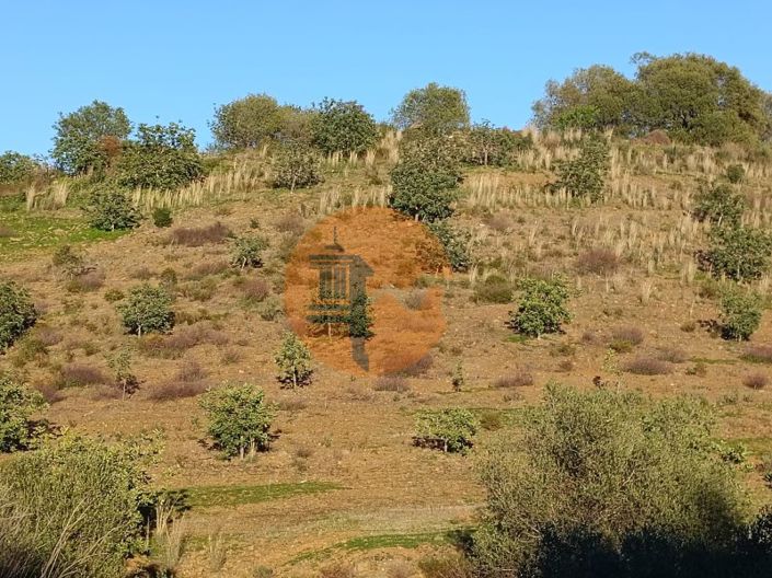 Image No.53-Plot for sale