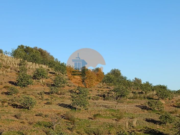 Image No.54-Plot for sale