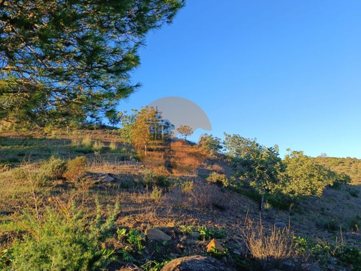 Image No.55-Plot for sale