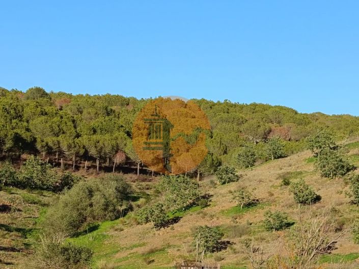 Image No.56-Plot for sale