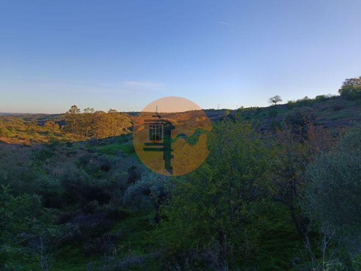 Image No.58-Plot for sale