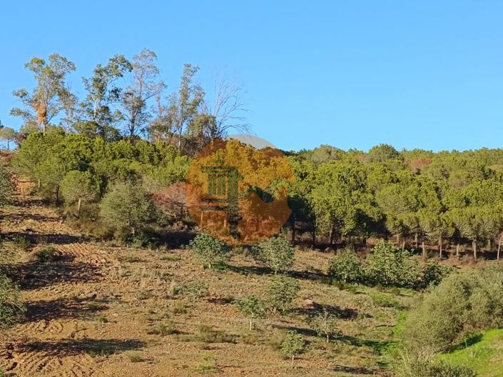 Image No.59-Plot for sale