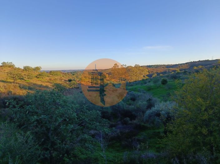 Image No.60-Plot for sale