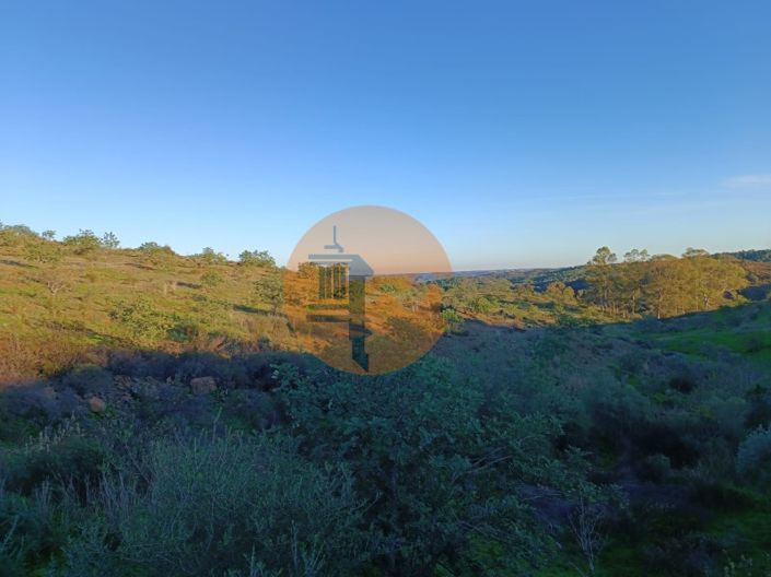 Image No.62-Plot for sale