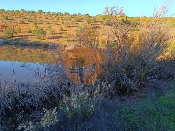 Image No.63-Plot for sale